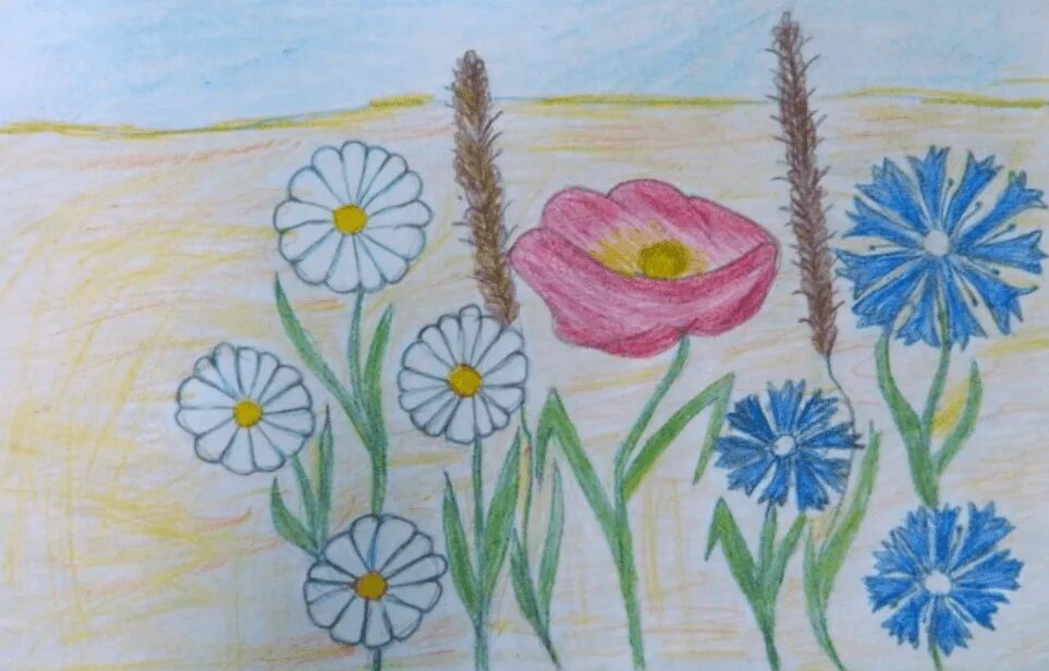 Рисунок луга 1 класс окружающий мир. Детские рисунки цветы. Рисование полевые цветы. Рисование с детьми полевые цветы. Детский рисунок цветы.