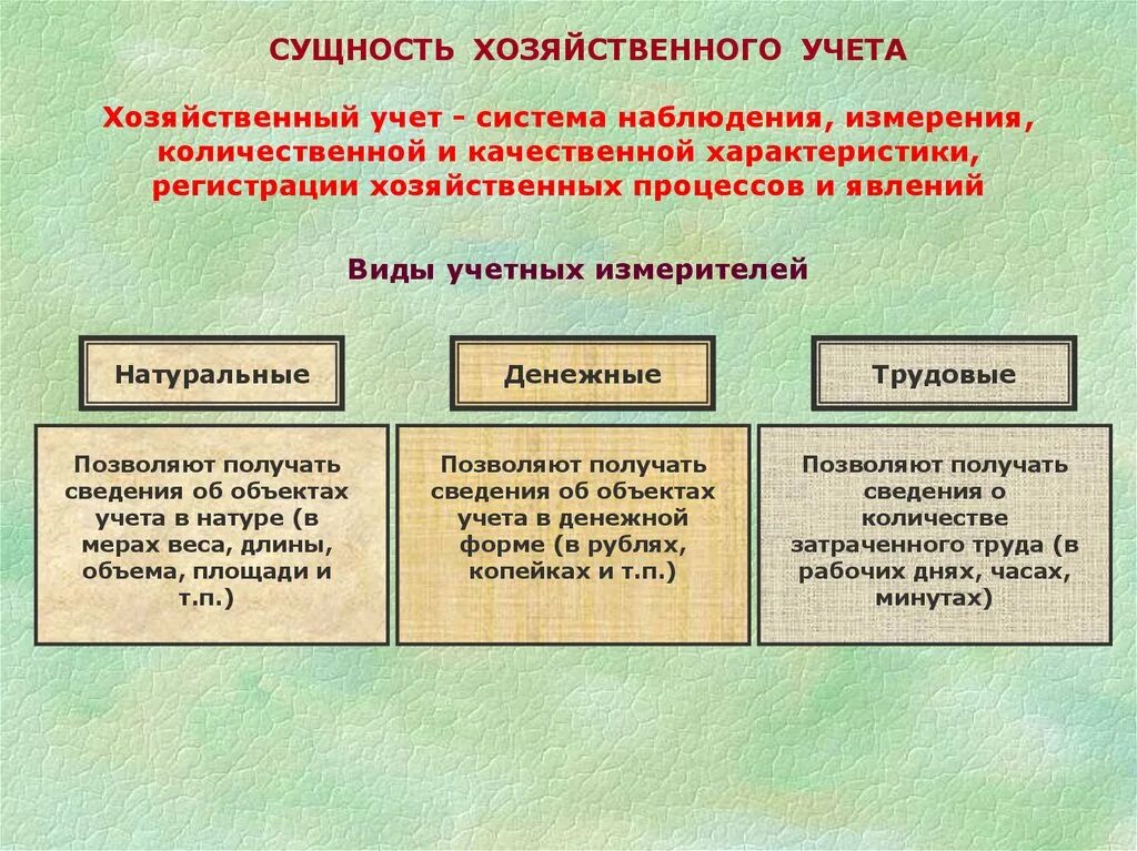 Виды измерителей в хозяйственном учете. Хозяйственный УЧЁТВИДЫ. Виды хозяйственного учета схема. Виды хозяйственного учета и учетные измерители. Оценка хозяйственного учета