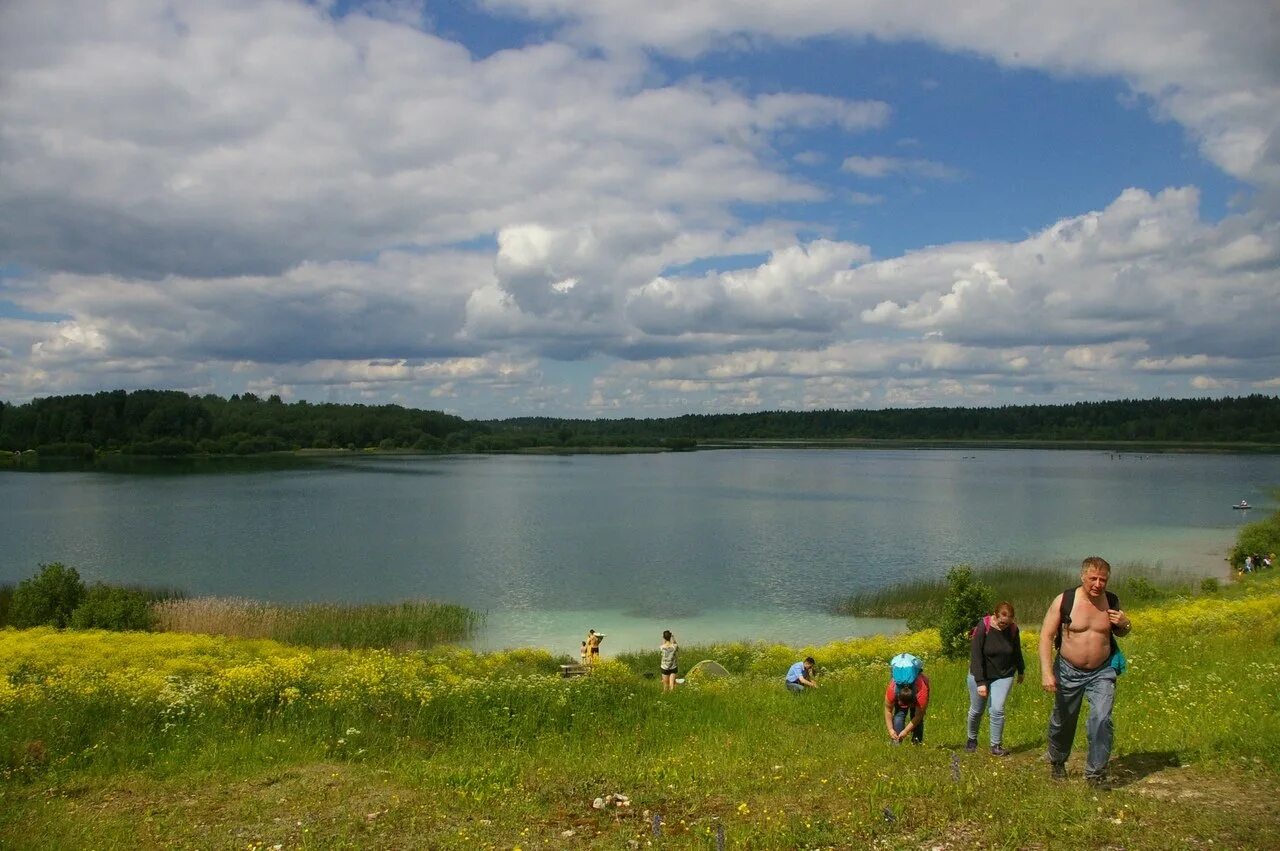 Озеро в никольском. Никольское озеро московская область. Озеро донцо в ленинградской. Озеро в никольском. Воронеж никольское озеро галяма.