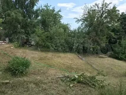 Снт волгарь
