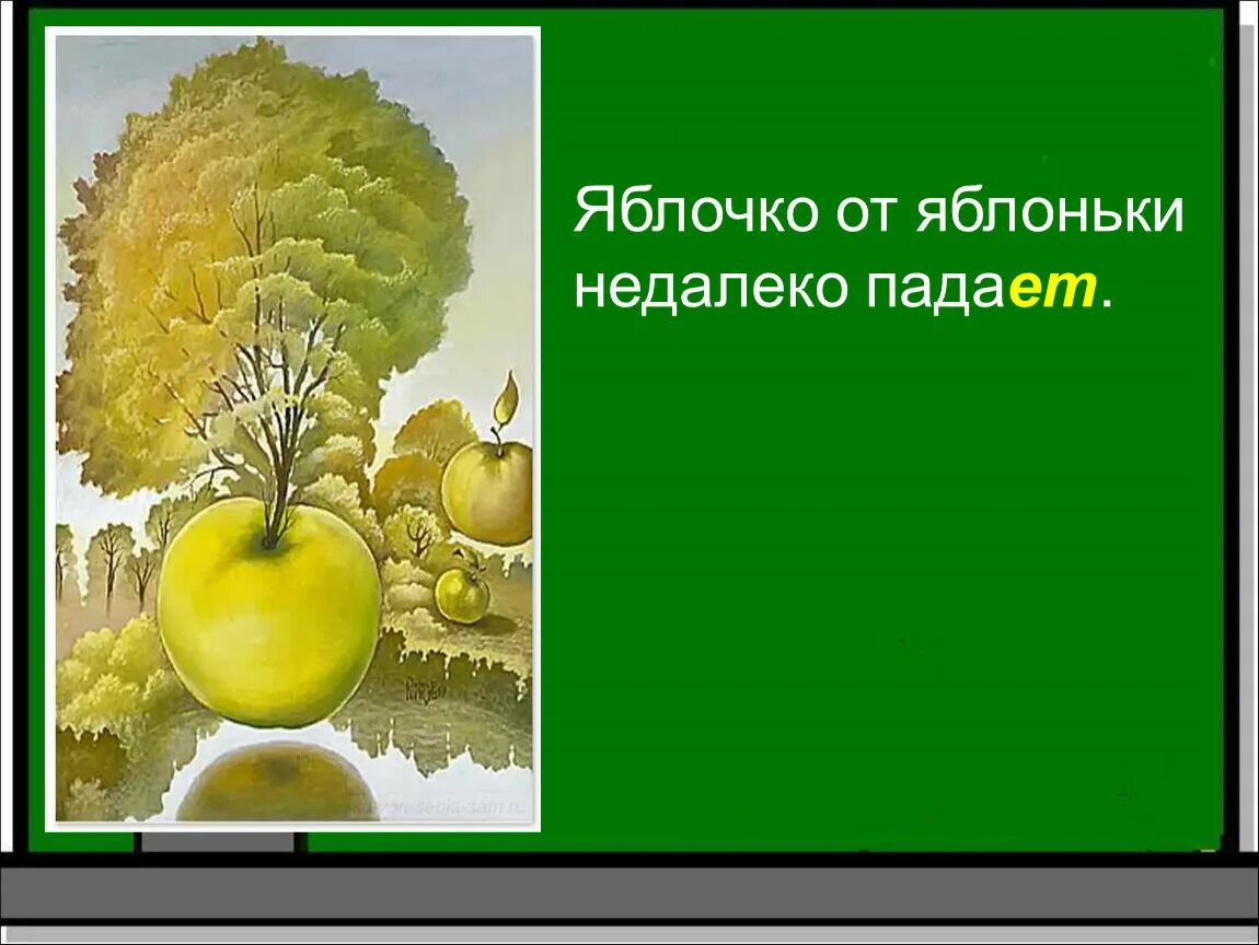 Считалка катилось яблочко. Мимо яблоко. Катилось яблочко мимо сада. Пословицы и поговорки о яблоках для детей. По яблоку в день.