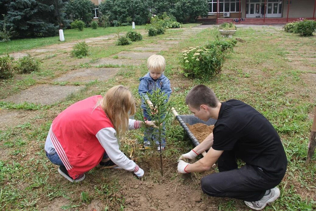 Семьи посадили деревья. Сажать деревья. Семья сажает дерево. Посадка деревьев с семьей. Дети сажают деревья с родителями.