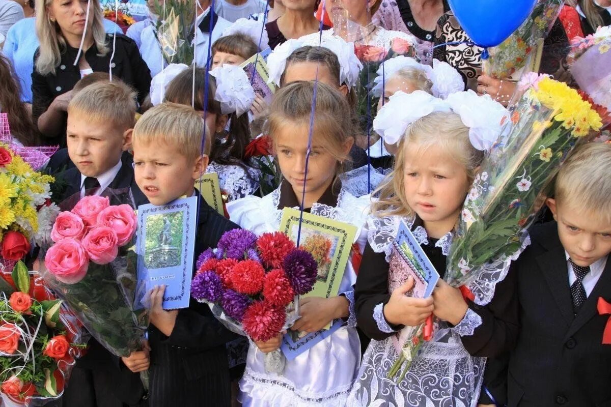 Линейки в старом осколе