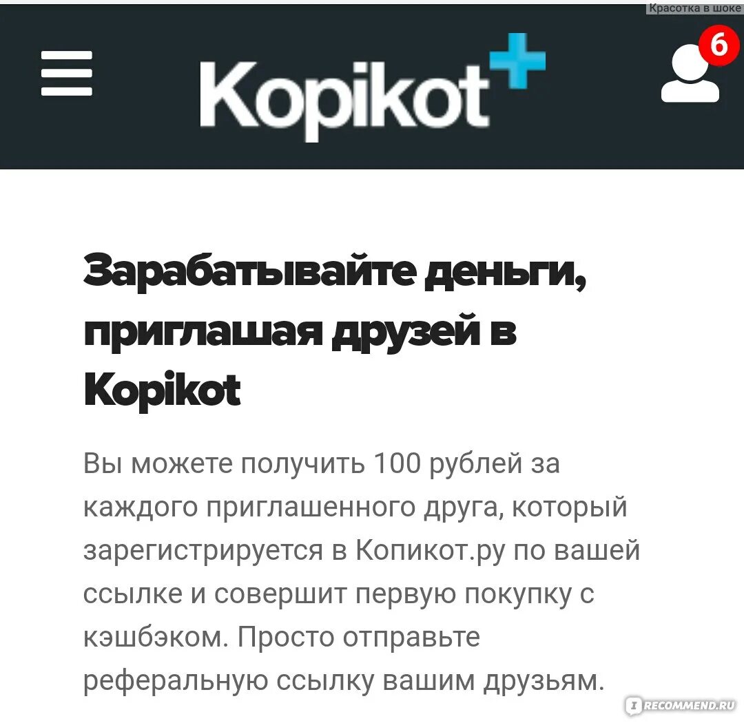 Копикот.ру. Копикот деньги в обработке. Кто такой Копикот в реальности. Копикот проблемы входа 30.11.22. Купикот