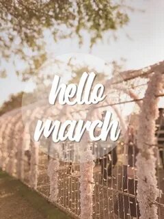 Hello март