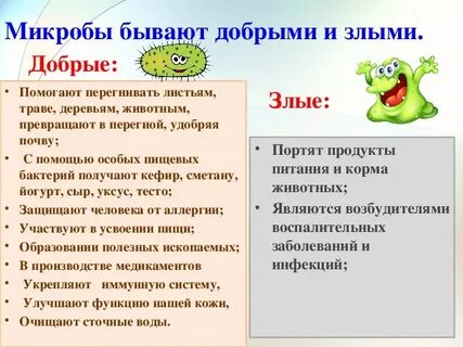 Рассказ про бактерии 3 класс