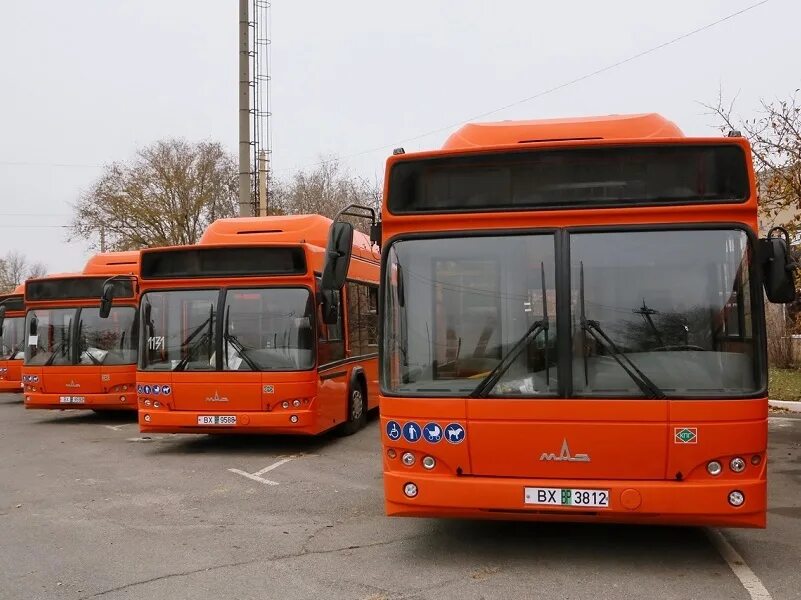 Волгодонск автобусы МУП ГПТ. МУП ГПТ Волгодонск. Автобус МАЗ 103965. МАЗ-203 автобус оранжевый.