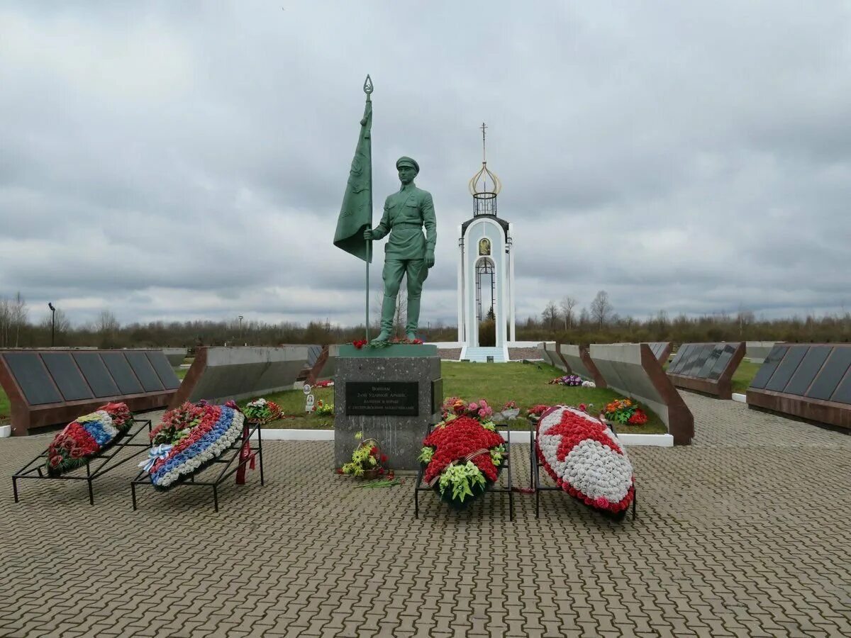 Великая отечественная новгородская область