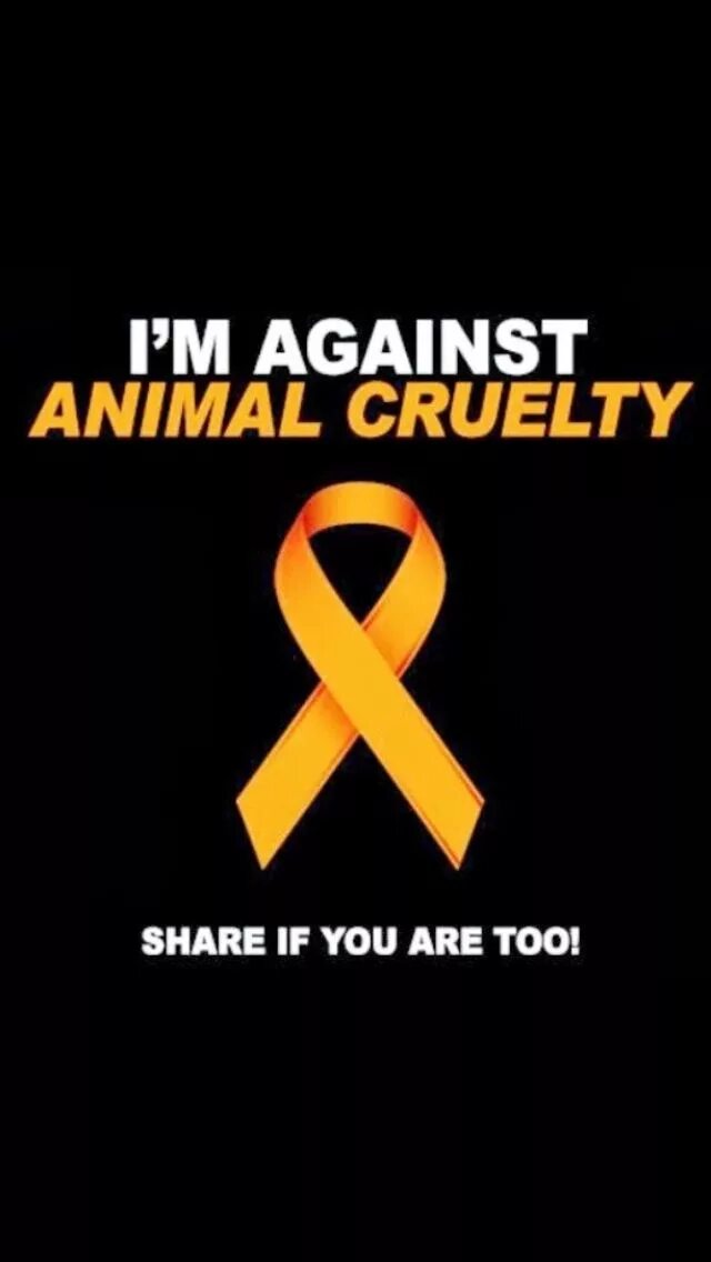 I m against. I am against all animal.