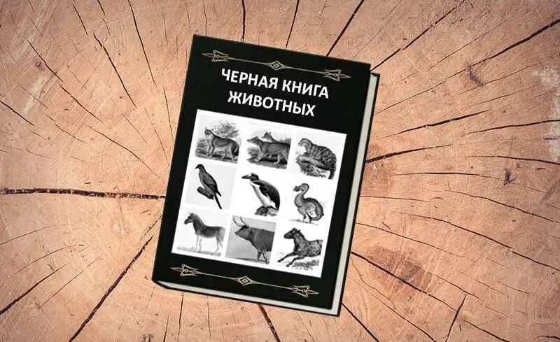Книга про черного. Книга про черного. Книга про черного. Битая карта рэнкин. Книга про черного.