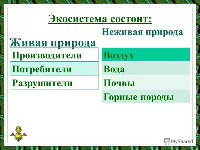 Совокупность организмов и компонентов неживой природы. Экосистема Живая неживая природа. Компоненты живой природы. Живые и неживые компоненты экосистемы. Из каких частей состоит экосистема.