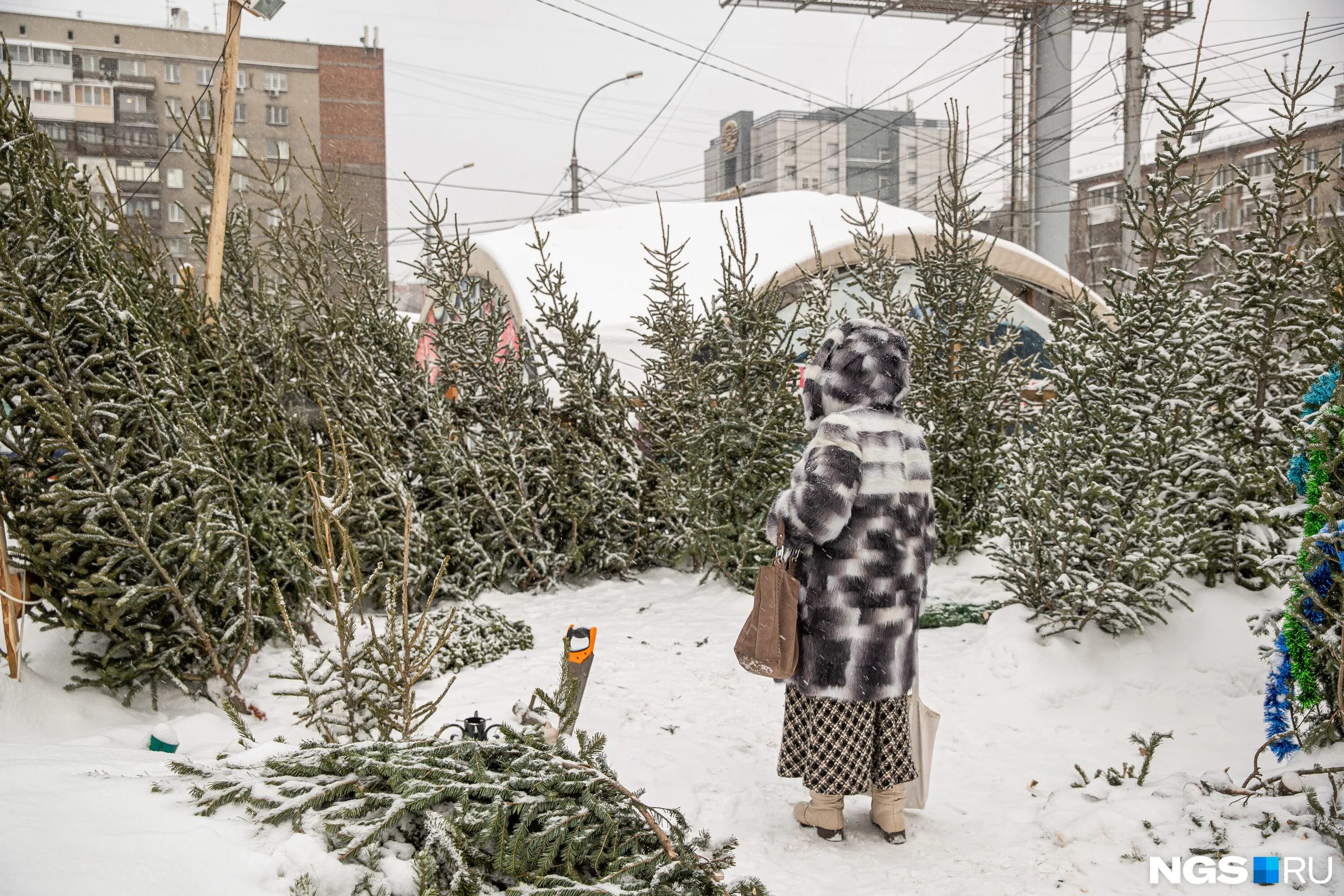 Елка на помойке. Куда отнести елку. Елочные базары 2022. Куда отнести елку. Куда отнести елку.