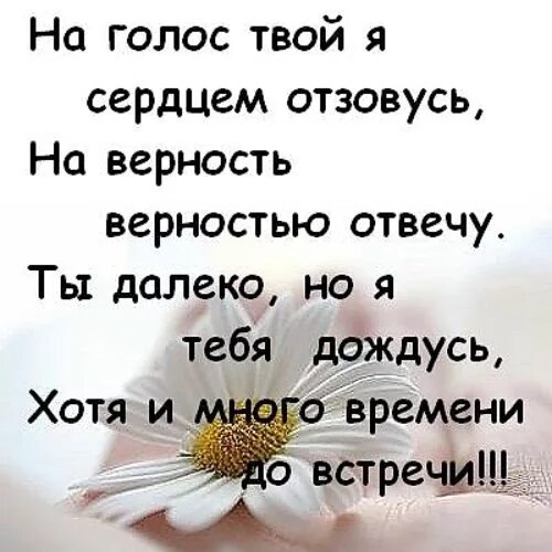 На верность верностью отвечу. Я тебя дождусь. Я дождусь тебя любимый стихи. Я тебя подожду стихи. Твой голос стихи мужчине.