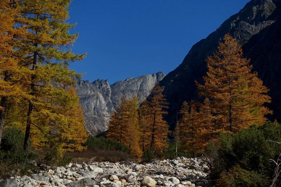 альпийский высокогорный рельеф. архыз горы осень. горы россии уральские горы. на каком горном хребте. горы горный хребет на горы горная долина.