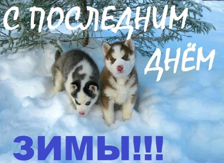 Открытки прощай зима. Открытки с последним днем зимы. Февраль. 28 февраля последний день зимы веселые. Открытка зимняя.
