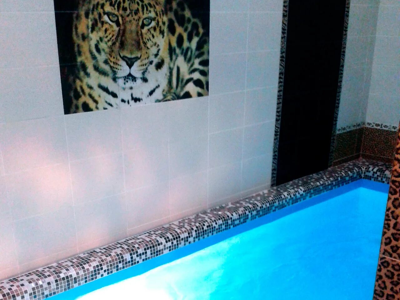 сауна вокруг света чебоксары цивильская. сауна вокруг света чебоксары мтв центр. сауна вокруг света чебоксары мтв центр. сауна вокруг света чебоксары цивильская. сауна вокруг света чебоксары мтв центр.