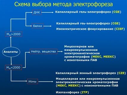 Капиллярный электрофорез