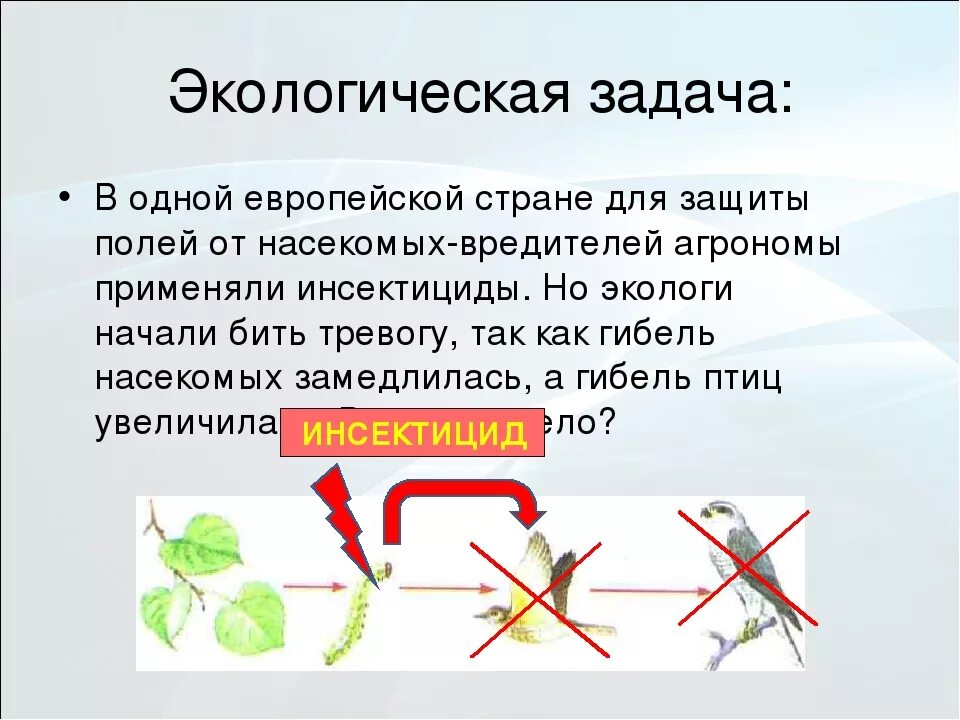 Решение экологических задач по биологии. Экологические задачи. Решение задач по экологии. Экологические задачки. Решение экологических задач.