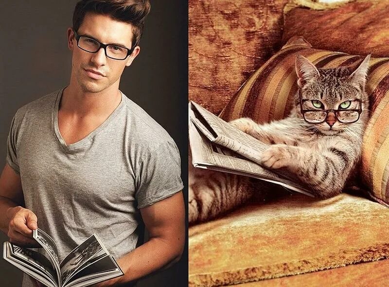 Мужественный кот. Мужчина в очках и с котом. Кот красавчик. Кот в очках с газетой. Том что каждая модель