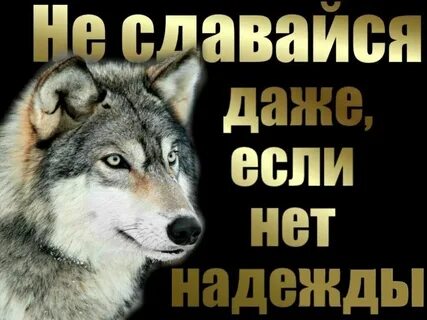 Но я не теряю надежды