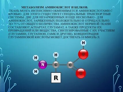 Метаболиты аминокислот
