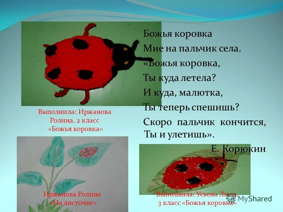 Стадии божьей коровки