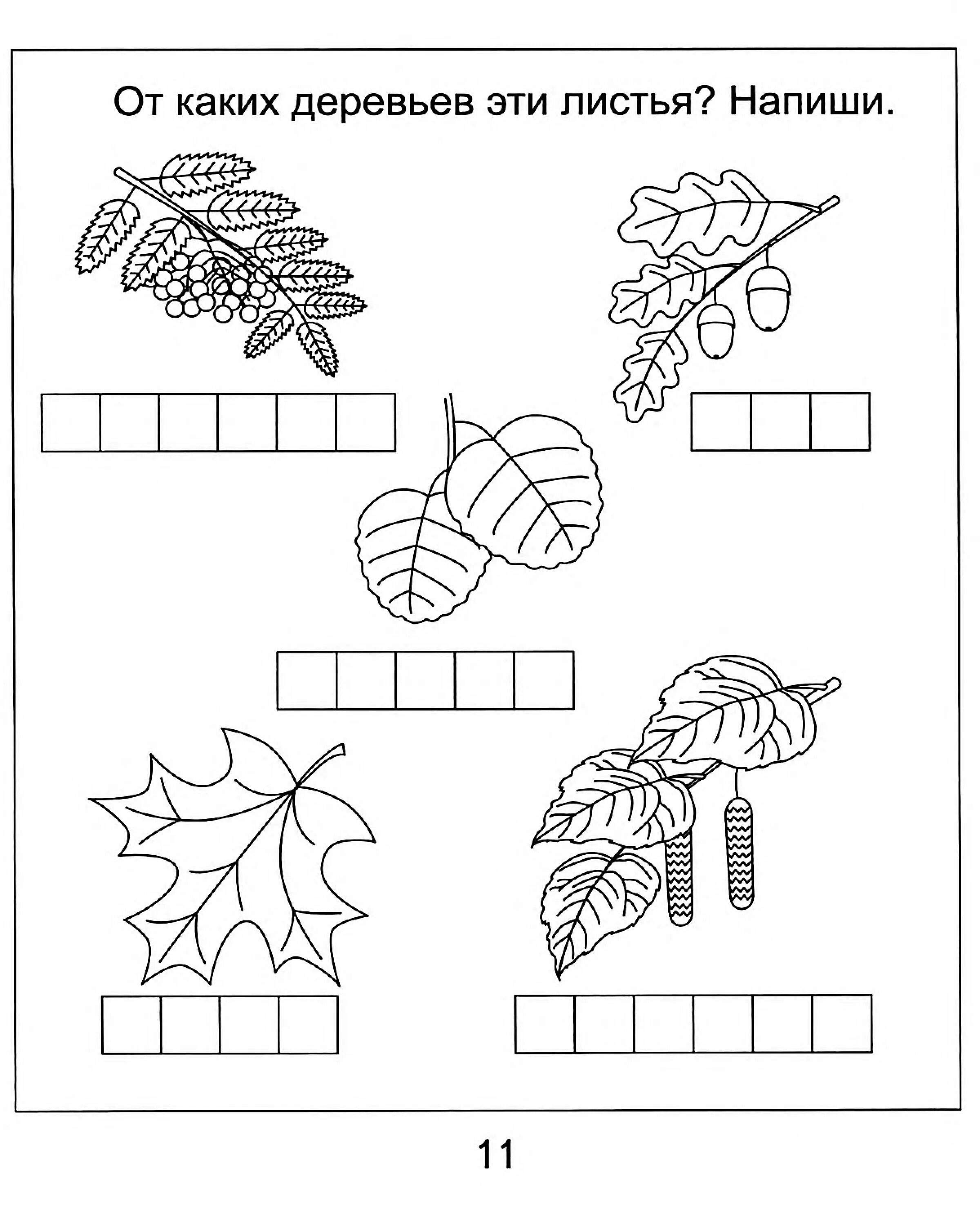 Творческие задания окружающий мир. Задания для дошкольников. Деревья задания для дошкольников. Осенние задания для дошкольников. Задания ИПО окружающему миру для дошкольников.