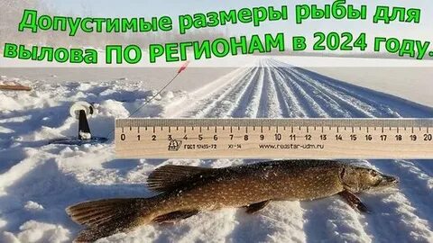 Закон о рыбалке 2024