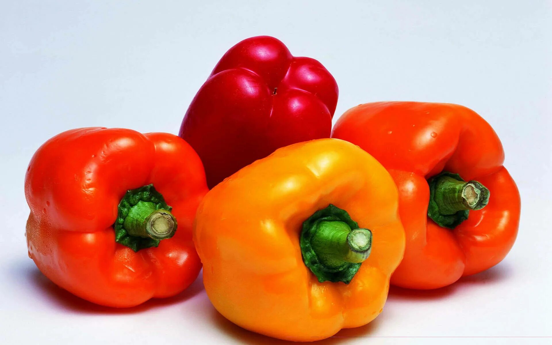 Capsicum. Перец capsicum annuum. болгарский сладкий перец. перец болгарский сорт помидорный.