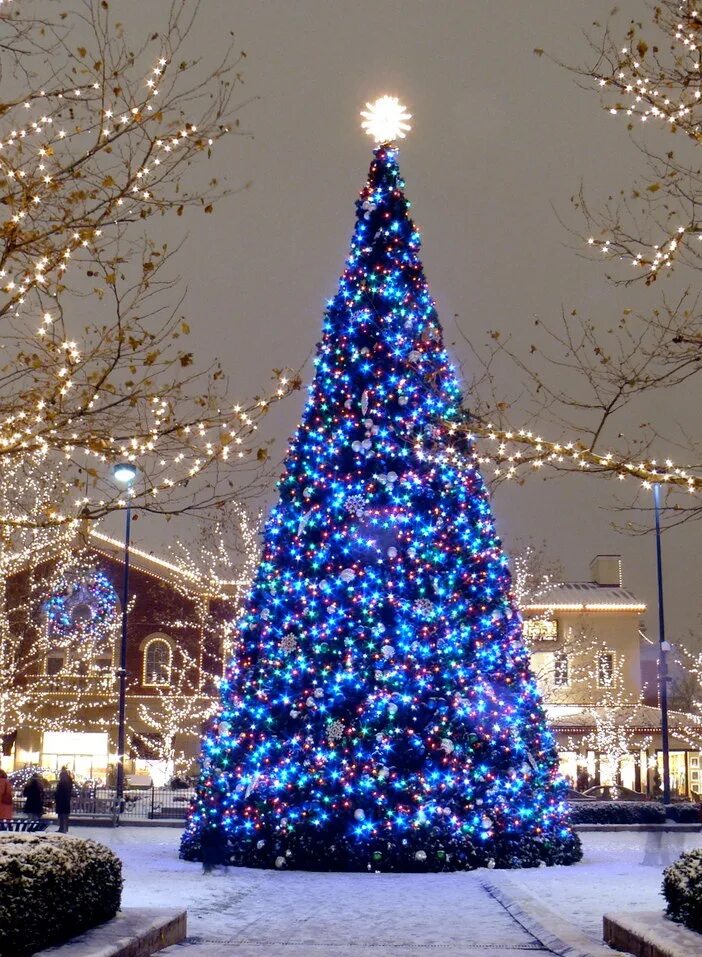 Самые нг. Самый новый год комедия кадры. Новый год. Самые нг. Российские новогодние комедии.