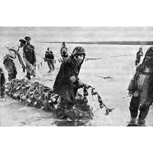 Секспедиция настольная игра. Книга великая северная экспедиция. Эффект соляриса. Экспедиция читать. Солонго тайна пропавшей экспедиции иллюстрации.