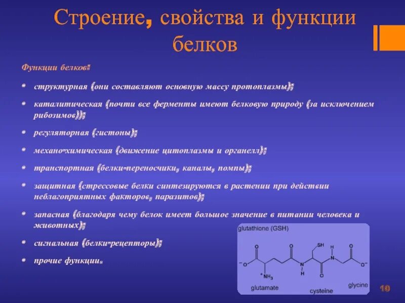 Белки состав и свойства белков