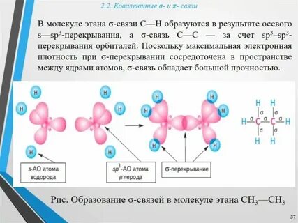 Этан сколько атомов