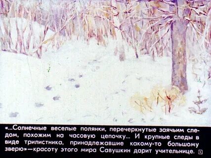 Какое впечатление произвел зимний дуб