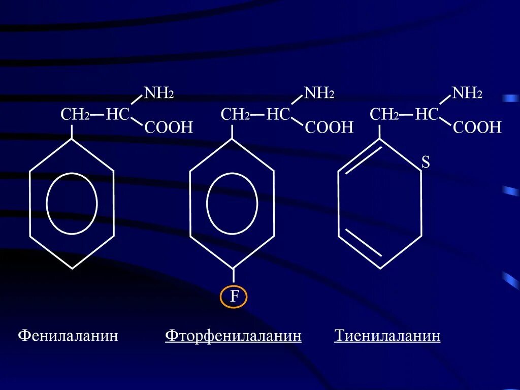 Ch ch ch cooh nh. Бензольное кольцо с nh2 и Oh. Бензольное кольцо ch2 Oh ch3. Бензольное кольцо Ch ch2. C2h5 NH С бензольным кольцом это.