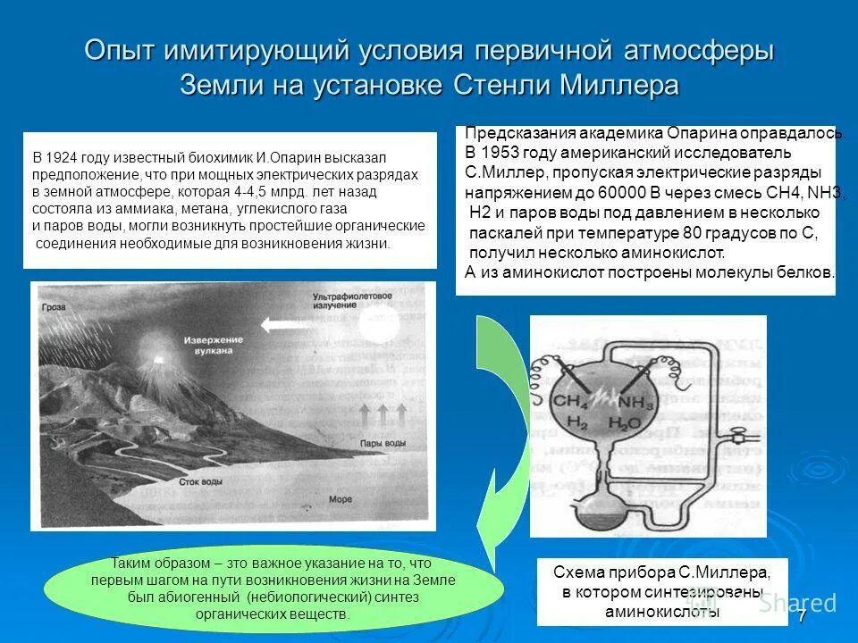 Жизнь возникла в первичном