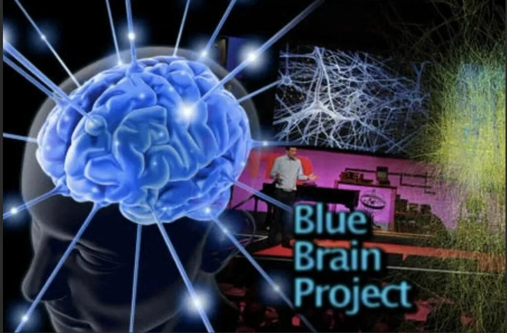 Brain project. Голубой мозг. Голубой мозг искусственный интеллект. Проект мозг. Искусственный мозг человека.