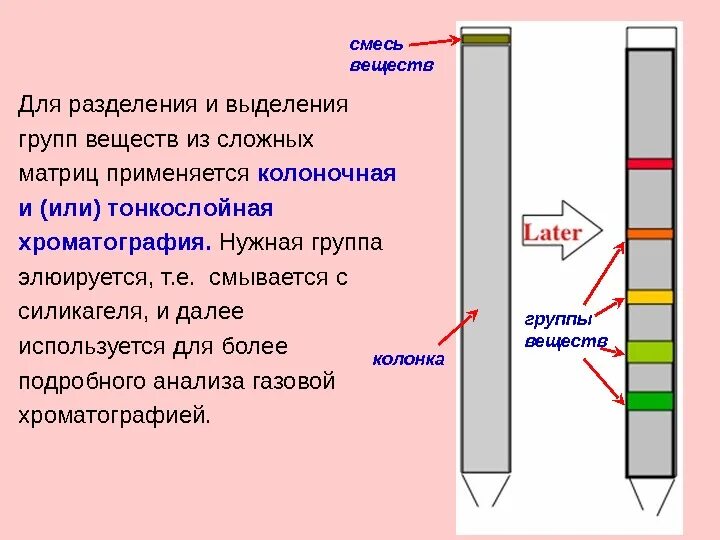 Разделение пигментов метод. Разделение пигментов методом хроматографии. хроматографическое разделение веществ.