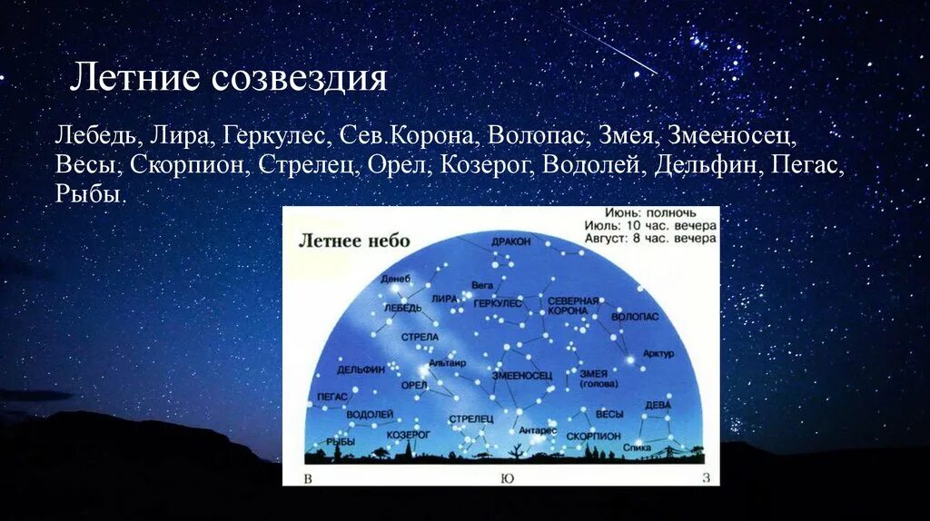 Летне весенние созвездия. Летне осенние созвездия. Созвездия летнего неба. Летнее звездное небо созвездия. Сколько видимых созвездий