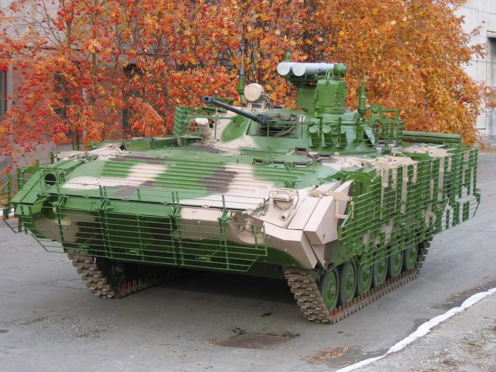 Bmp ms