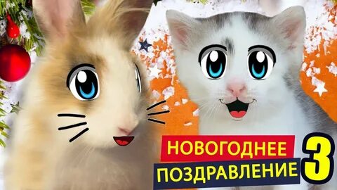 Мурка и малыш новые