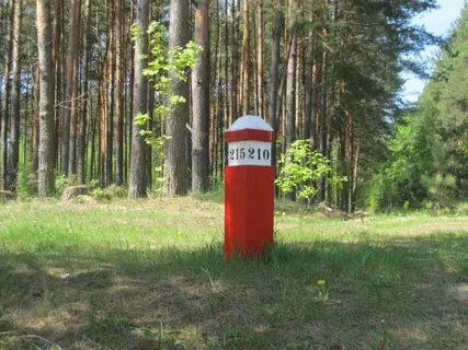 Столб леса