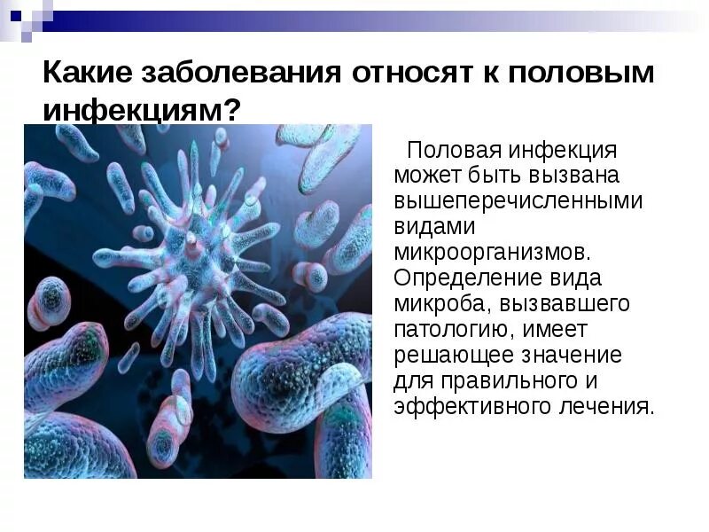 Инфекционные болезни передающиеся половым. Инфекции половых путей. Болезни передающиеся половым. Заболевания которые передаются половым. Заболевания передающиеся пол путем.