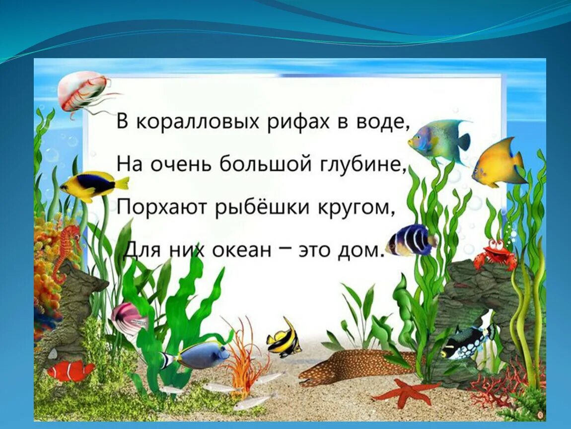 Слово глубь. Стихи про морских обитателей для детей. Стих про море для детей. Стихи для детей подводный мир для дошкольников. Стихи про рыб.