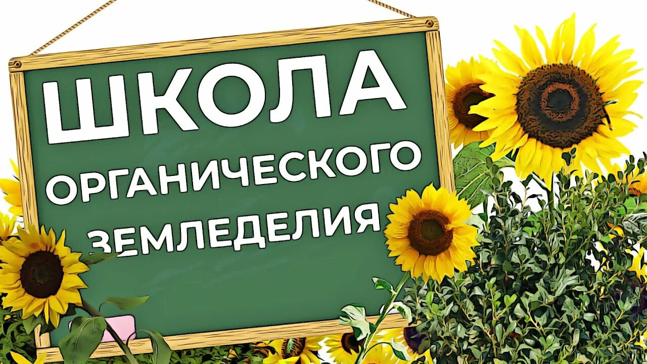 Органик школа. Органика и школа. Органик школа. Growers. Органик школа.