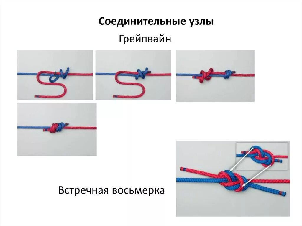 Узлы последовательность. Узел грейпвайн двойной рыбацкий узел. грейпвайн восьмерка узел. узлы брамшкотовый грейпвайн. узел грейпвайн булинь.