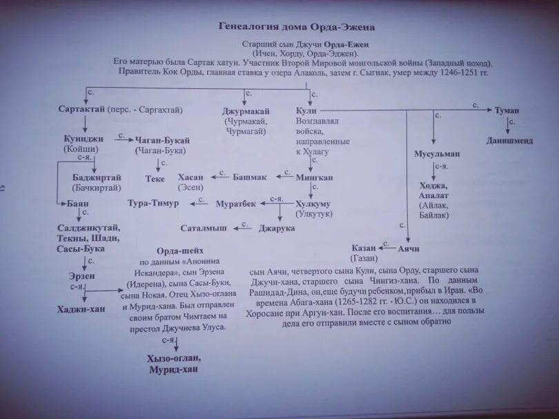 Как звали ханов золотой орды. Древо Ханов золотой орды. Родословная Джучи хана. Потомки Джучи хана схема. Генеалогическое Древо Джучи.