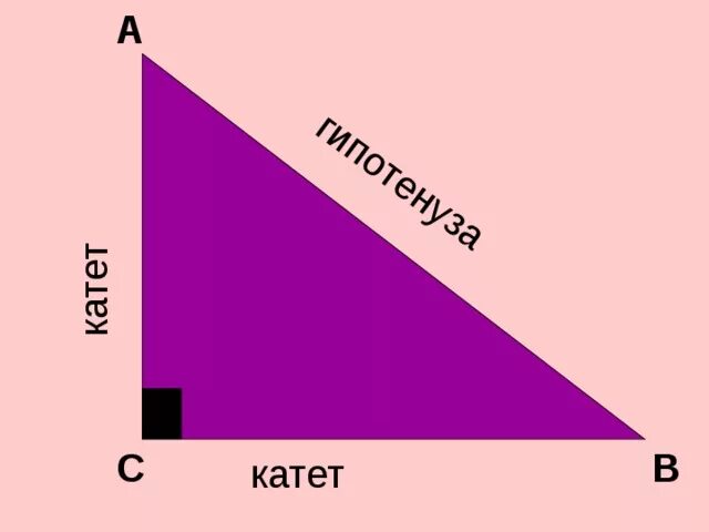 Гипотенуза треугольника 1 5 1 5. Катет и гипотенуза. Катет катет гипотенуза. Катет это в геометрии. Что такое катет и гипотенуза в геометрии.