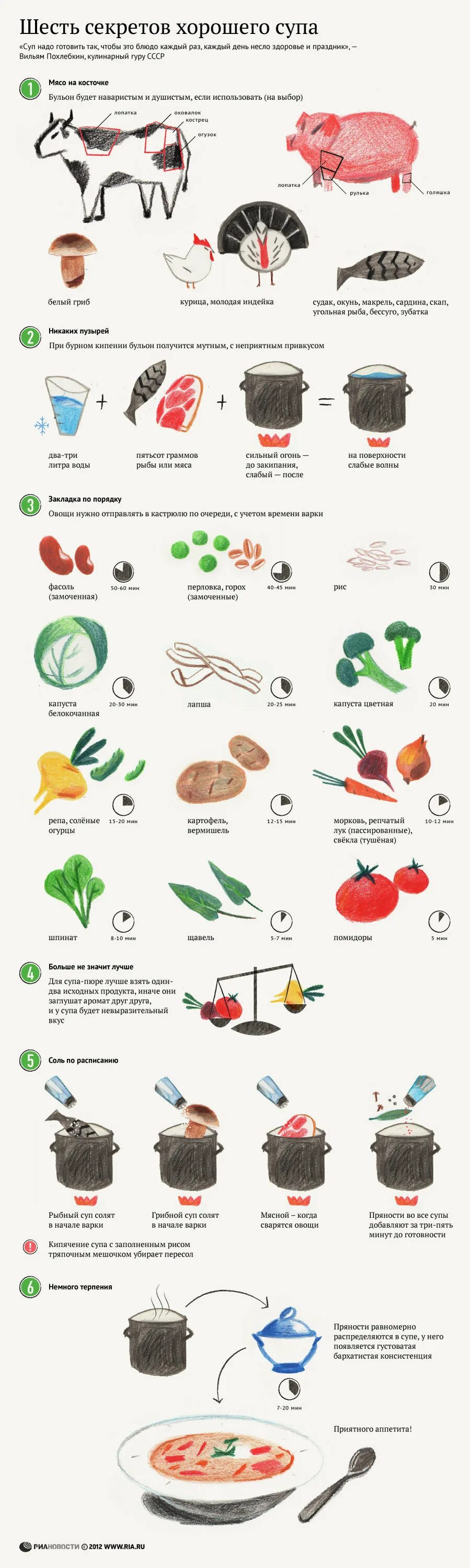 Сроки варки овощей для приготовления. Порядок варки овощей в супе. Шпаргалка супы. Инфографика суп.