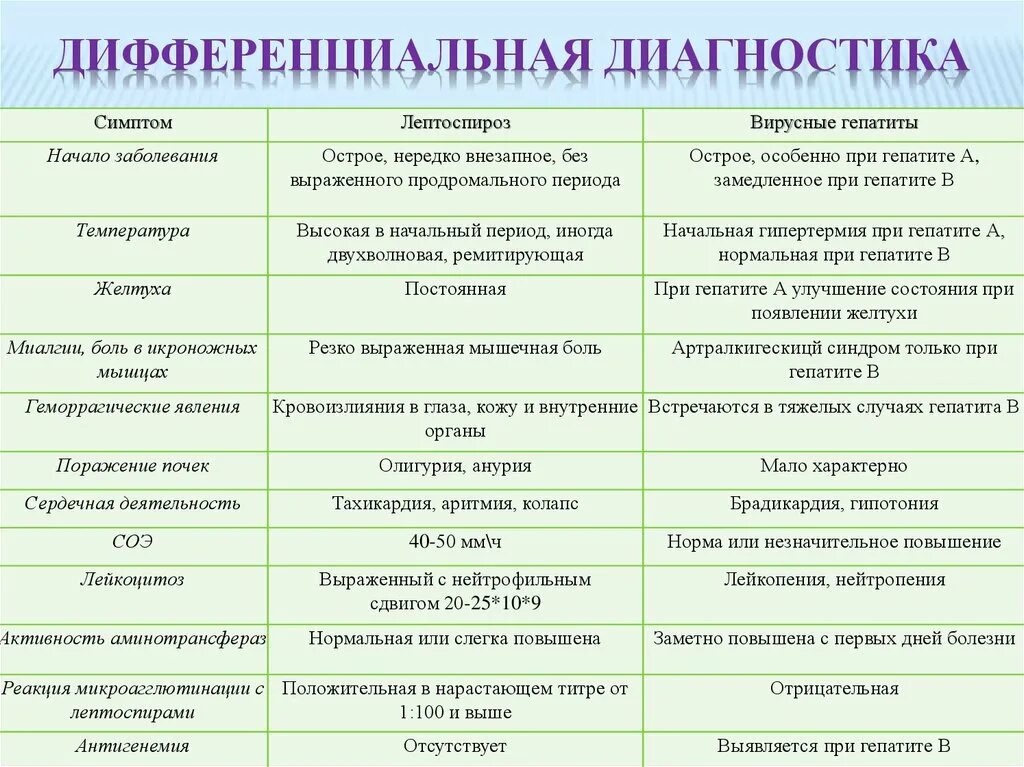 Дифференциальная диагностика инфекционного гепатита. Дифференциальный диагноз вирусного гепатита б. Дифференциальный диагноз гепатита и лептоспироза. Малярия и лептоспироз дифференциальная диагностика. Лептоспироз гепатит